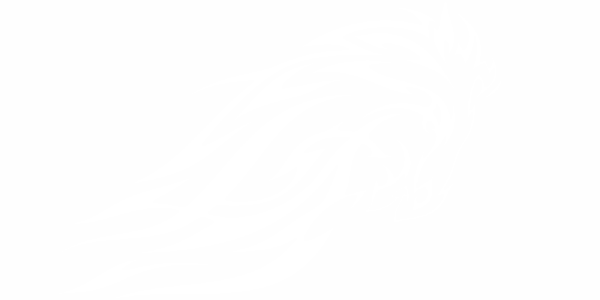 Preview: Aufkleber Pferd im Flammenstyle