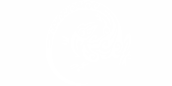 Preview: Aufkleber Eidechse Rondo