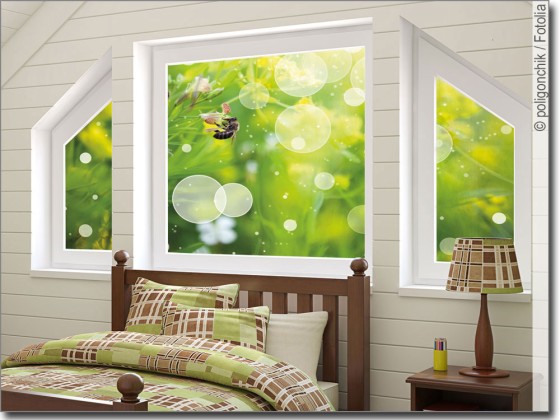 Preview: Foto auf Glas mit Biene