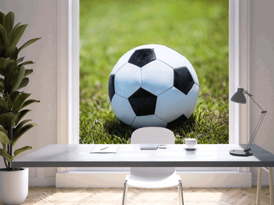 Preview: Fotofolie Fußball im Gras