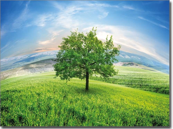 Preview: Wunderland Preview: Wunderland