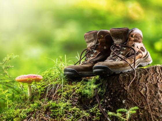 Preview: Fotofolie Wandern Preview: Fotofolie Wandern