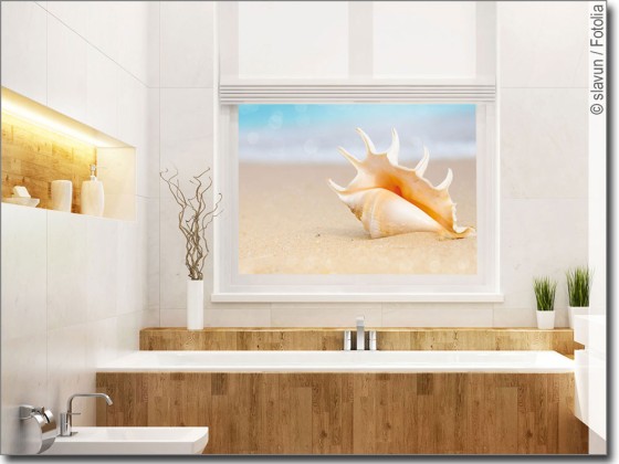 Preview: Weiße Muschel Preview: Weiße Muschel