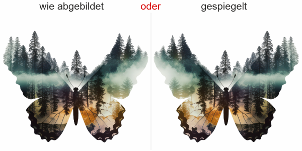 Preview: Glasaufkleber Schmetterling Walddesign