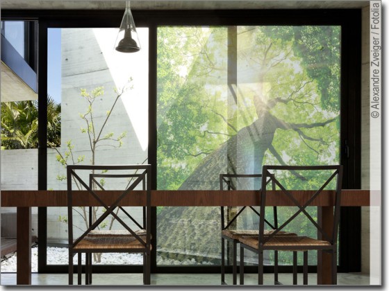 Preview: Glasdruck Baum Preview: Glasdruck Baum