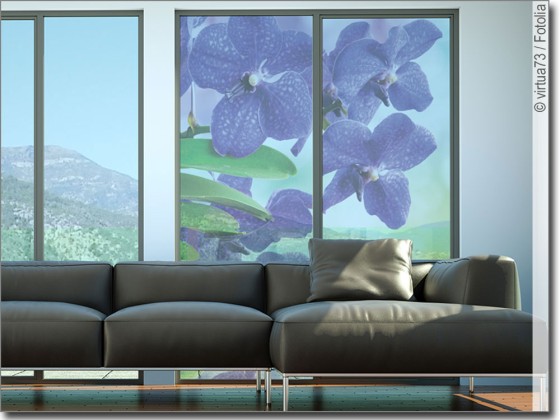 Preview: Blaue Orchidee Preview: Blaue Orchidee