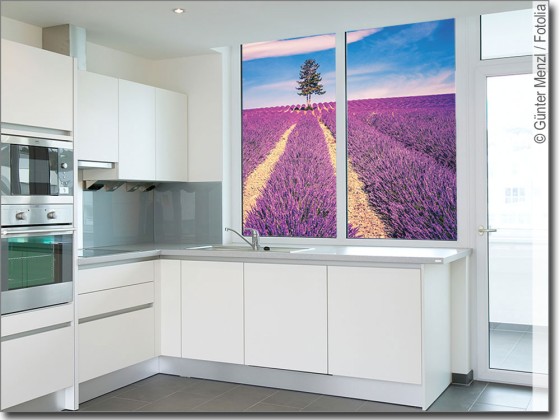 Preview: Glasbild mit Lavendel Preview: Glasbild mit Lavendel