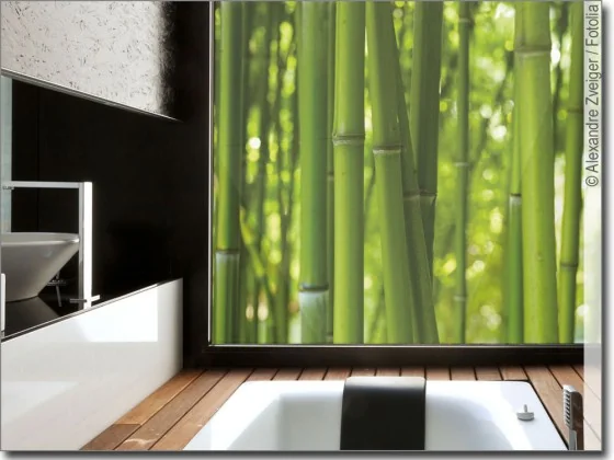 bambus bild für glas