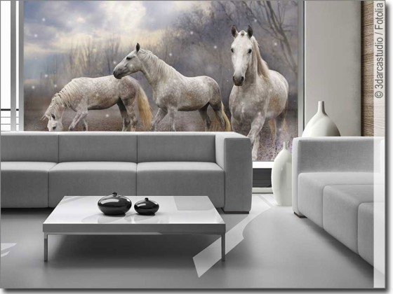 Preview: Tierbild Wilde Pferde