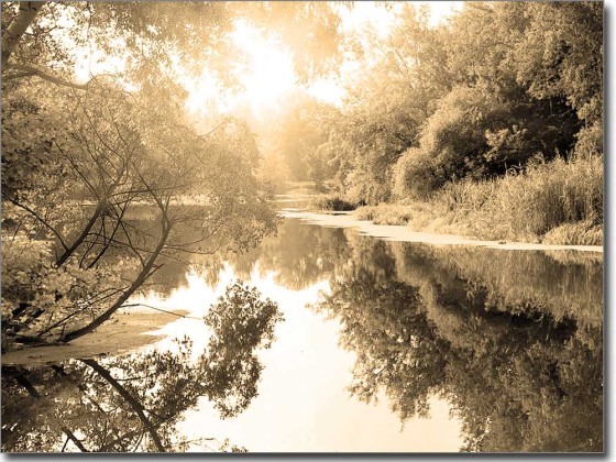 Preview: Fensterbild Herbstimpression Preview: Fensterbild Herbstimpression