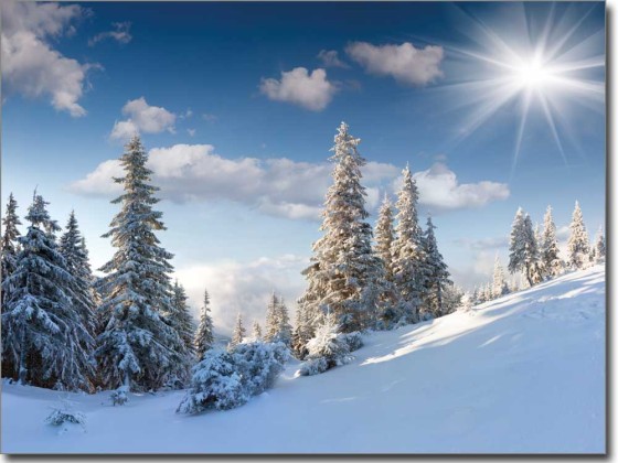 Preview: Landschaft im Winter Preview: Landschaft im Winter