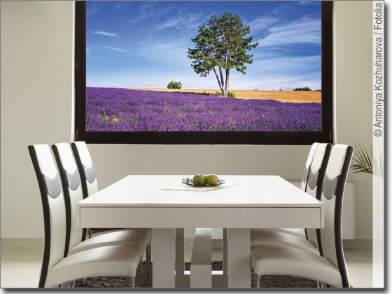 Preview: Lavendel Traum Preview: Lavendel Traum