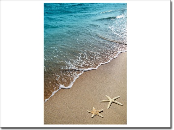 Preview: Fensterbild Seesterne am Strand Preview: Fensterbild Seesterne am Strand