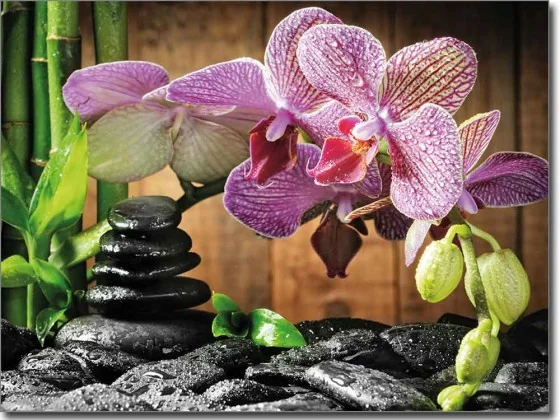 Glasbild Wellness Orchidee