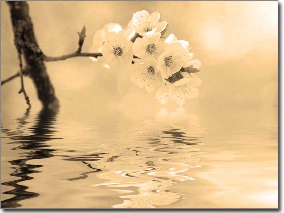 Preview: Erfrischung Preview: Erfrischung