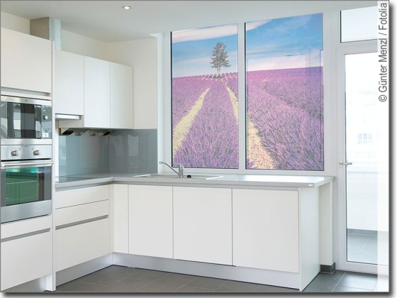 Preview: Glasbild mit Lavendel Preview: Glasbild mit Lavendel
