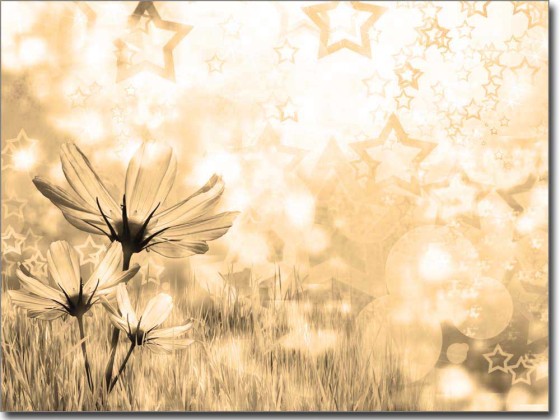 Preview: Glasbild Sommer