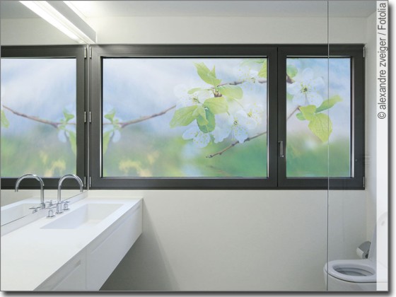 Preview: Kirschblüten