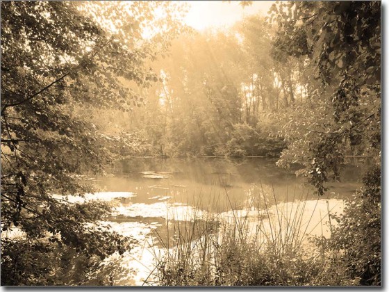 Preview: Fotofolie Herbst