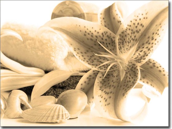 Preview: Glasbild Lilie in Pink