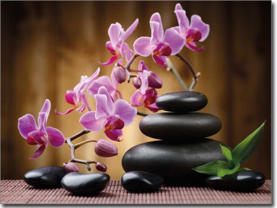 Preview: Orchideenblüten Preview: Orchideenblüten