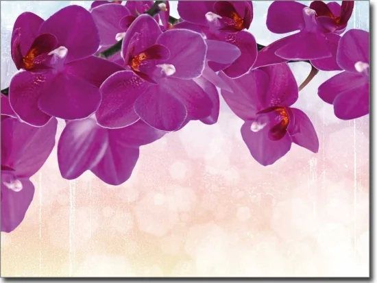 Glasdesign Aufkleber Orchideenmeer