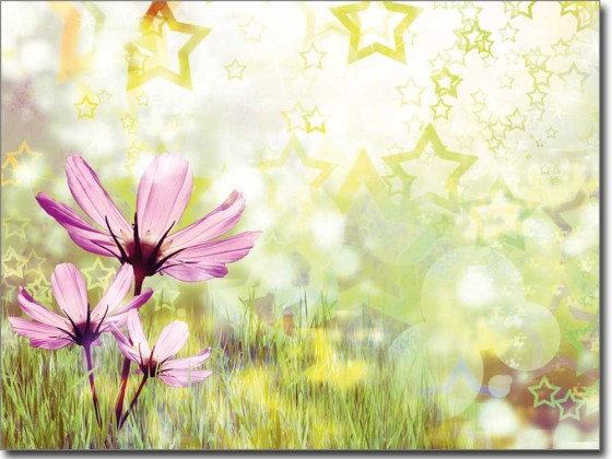 Preview: Glasbild Sommer