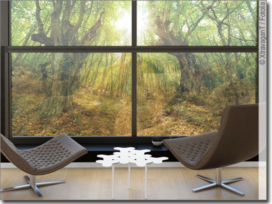 Preview: Digitaldruck Zauberwald Preview: Digitaldruck Zauberwald