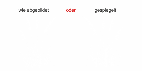 Preview: Glastattoo Leichtes Ufergras - Ansicht Ausrichtung und Farbauswahl