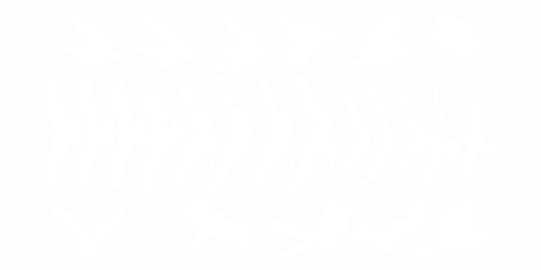Preview: Glastattoo Vögel - Ansicht Farbauswahl