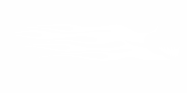 Preview: Hai Aufkleber Preview: Hai Aufkleber