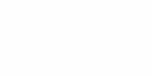 Preview: Heckscheiben Vinyl Tiger