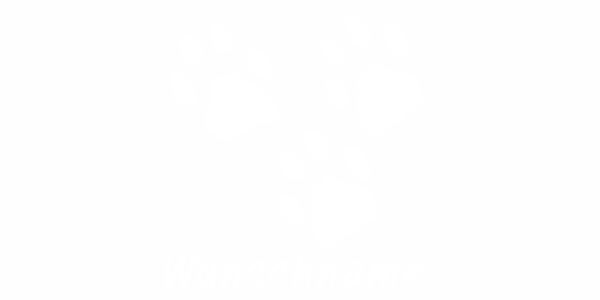 Preview: Autotattoo Hundepfoten Preview: Autotattoo Hundepfoten