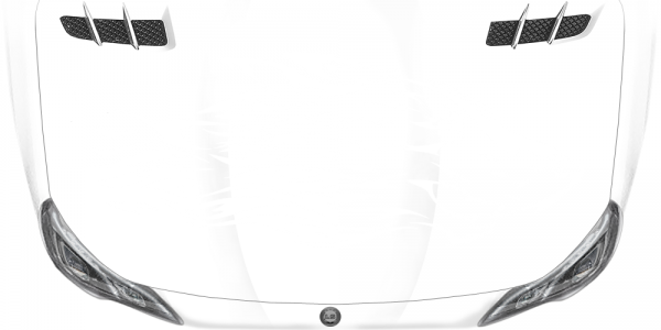 Preview: Autoaufkleber Hyäne Preview: Autoaufkleber Hyäne