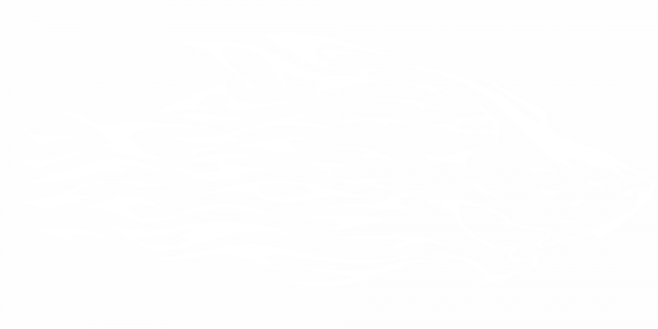 Preview: Autoaufkleber Hyäne Preview: Autoaufkleber Hyäne