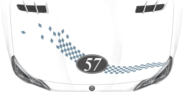 Preview: Karomuster mit Startnummer