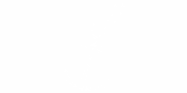 Preview: Auto Klebefolie Anker mit Vögel