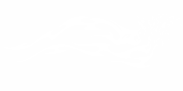 Preview: Tribalaufkleber Leopard Flamme Preview: Tribalaufkleber Leopard Flamme