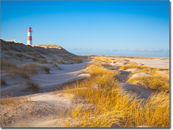 Preview: Leuchtturm Ellenbogen Sylt Preview: Leuchtturm Ellenbogen Sylt