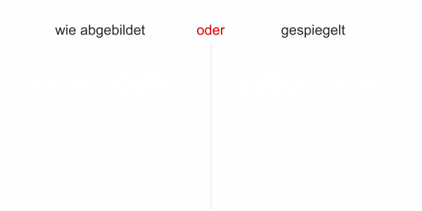 Preview: Milchglasfolie Savannenbaum - Ansicht Ausrichtung und Farbauswahl