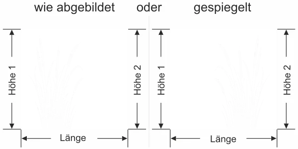 Milchglasfolie Schilfgras mit Kolben - Ansicht Ausrichtung mit Farbauswahl und Anleitung zur Größenberechnung - Vorschlag 2