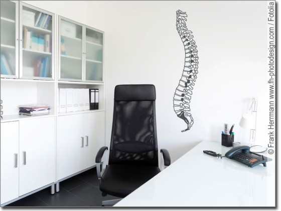 Preview: Motiv Wirbelsäule