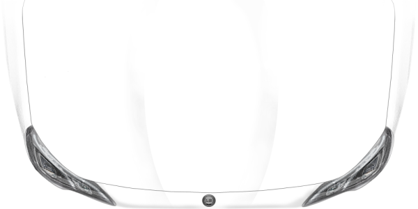 Preview: Car Tattoo Japanischer Strauch Preview: Car Tattoo Japanischer Strauch