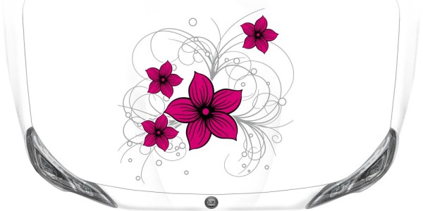 Preview: Autoaufkleber Rankendesign