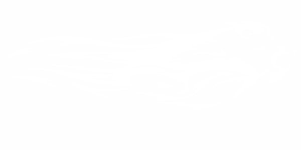 Preview: Auto Aufkleber Löwe Tribal