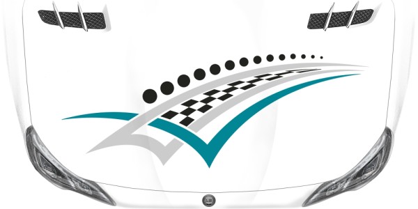 Preview: Racingaufkleber Start Ziel Flagge Preview: Racingaufkleber Start Ziel Flagge