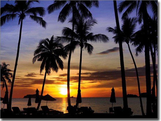 Preview: Palmenstrand Sonnenuntergang Preview: Palmenstrand Sonnenuntergang