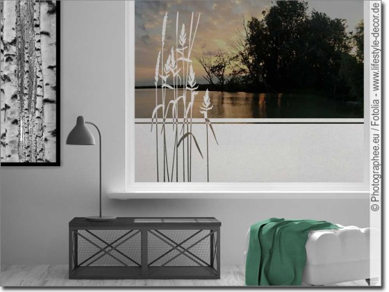 Preview: Sichtschutz Gräser