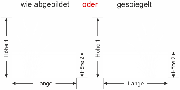 Preview: Sichtschutzfolie Filigranes Ziergras