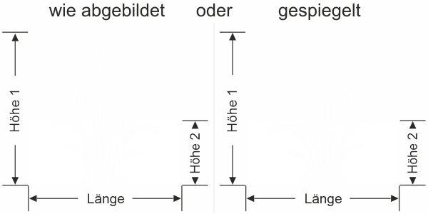 Preview: Sichtschutzfolie Goldfruchtpalme